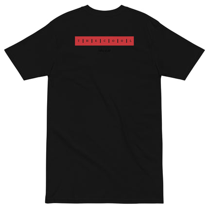 Chicago Icon  premium heavyweight tee