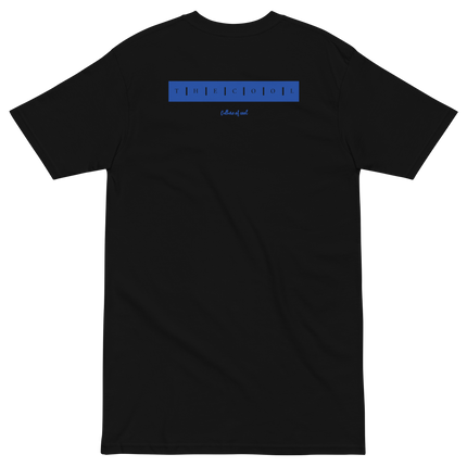 Albany State Heavyweight tee