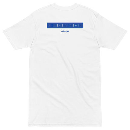 Albany State Heavyweight tee